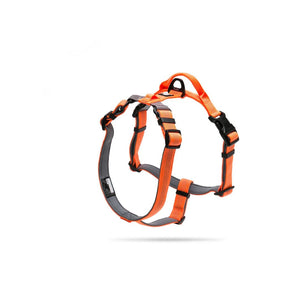 SafeWalk LED-Leine