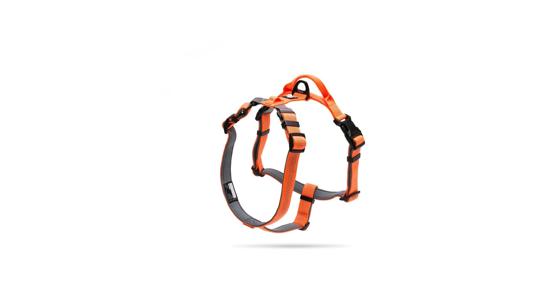 SafeWalk LED-Leine
