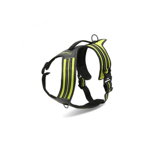 NightWalk Hundegeschier
