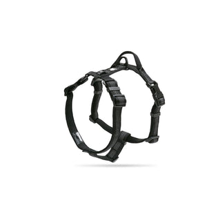 SafeWalk LED-Leine