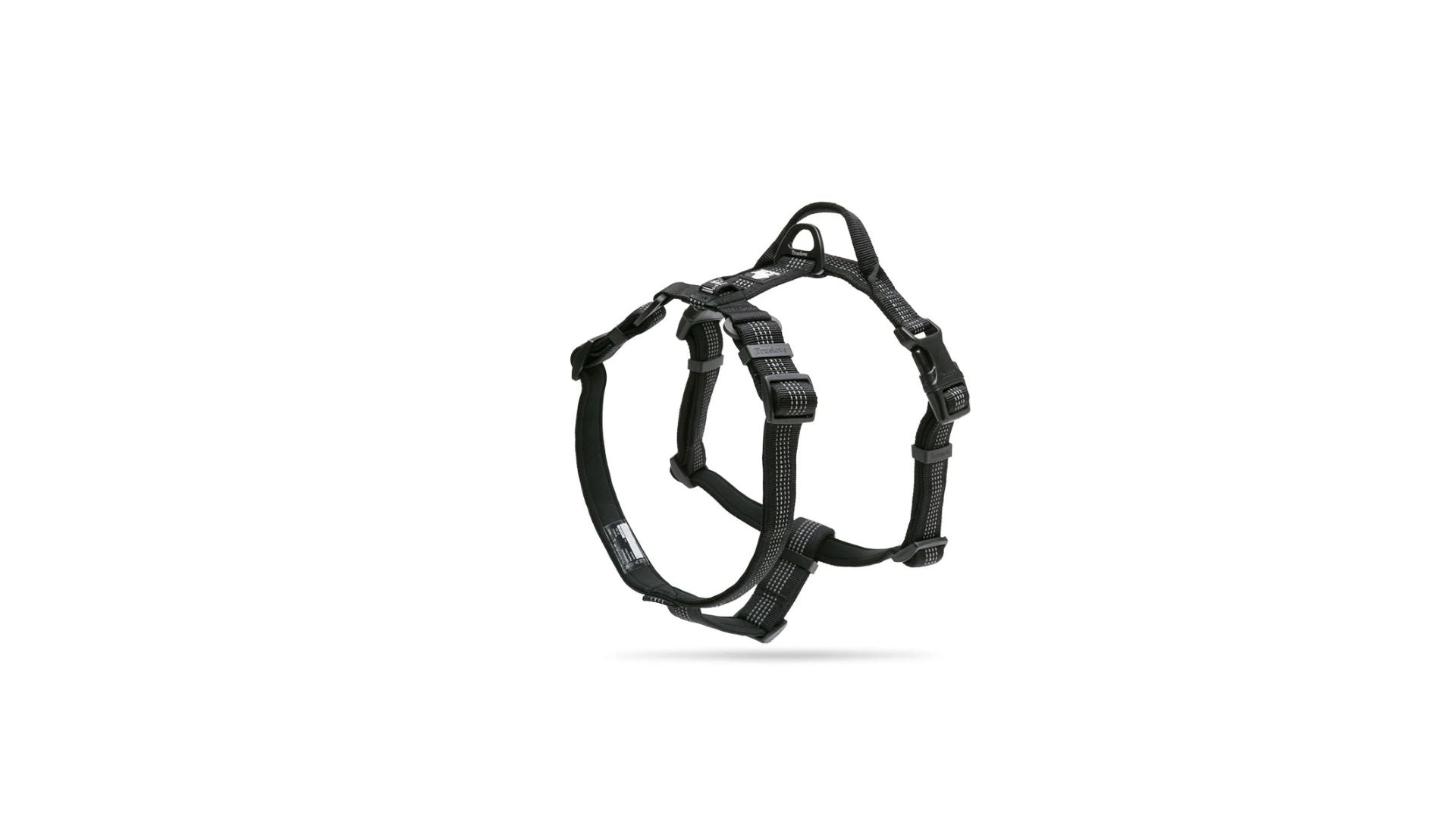SafeWalk LED-Leine