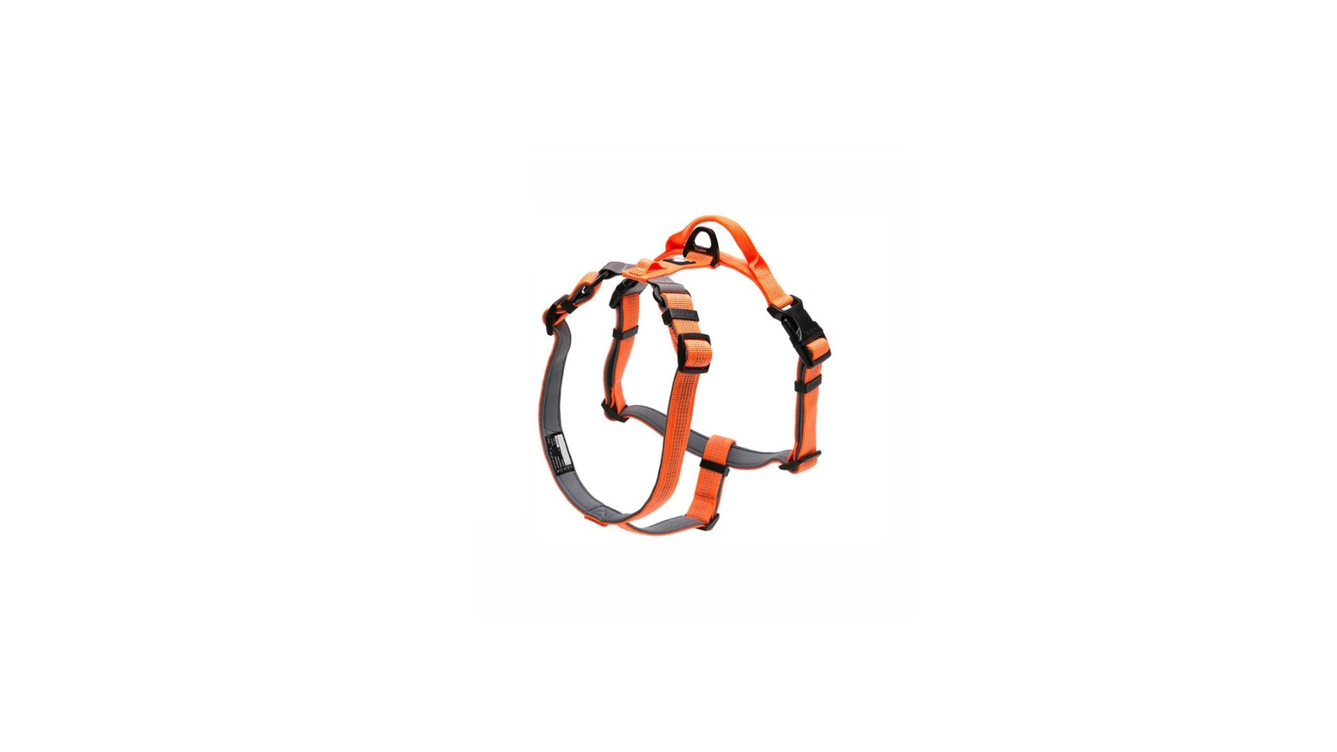 SafeWalk LED-Leine