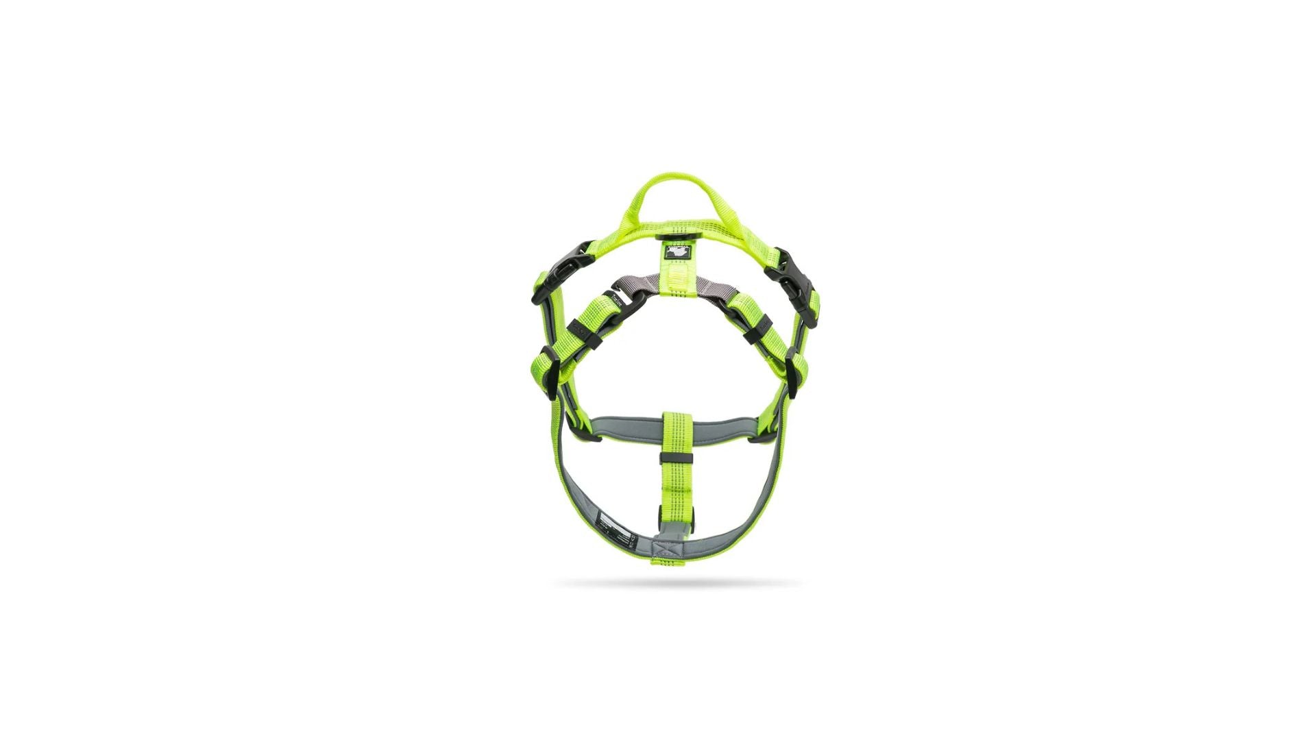 SafeWalk LED-Leine