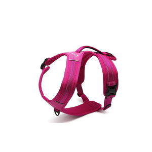 NightWalk Hundegeschier