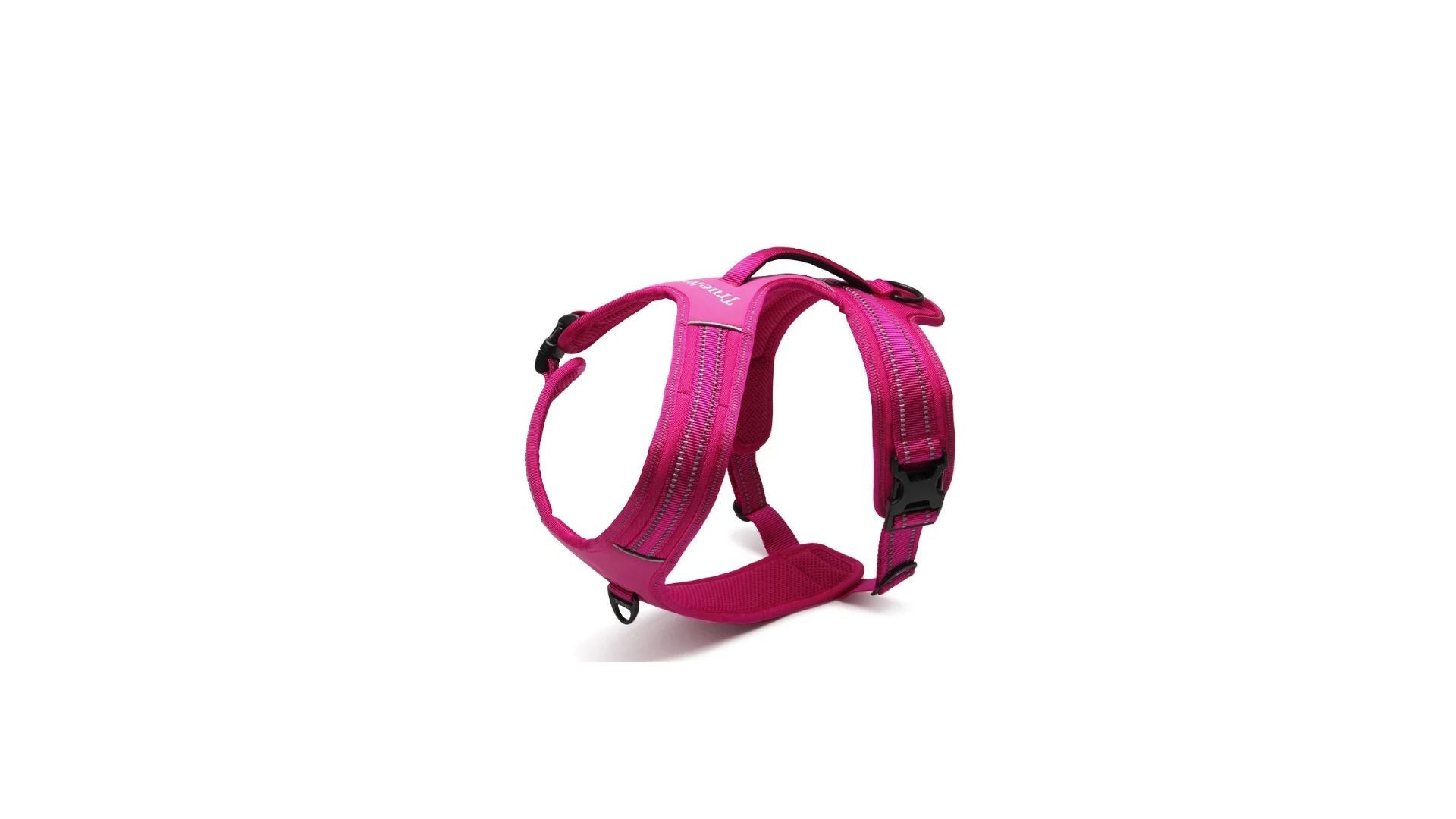 NightWalk Hundegeschier