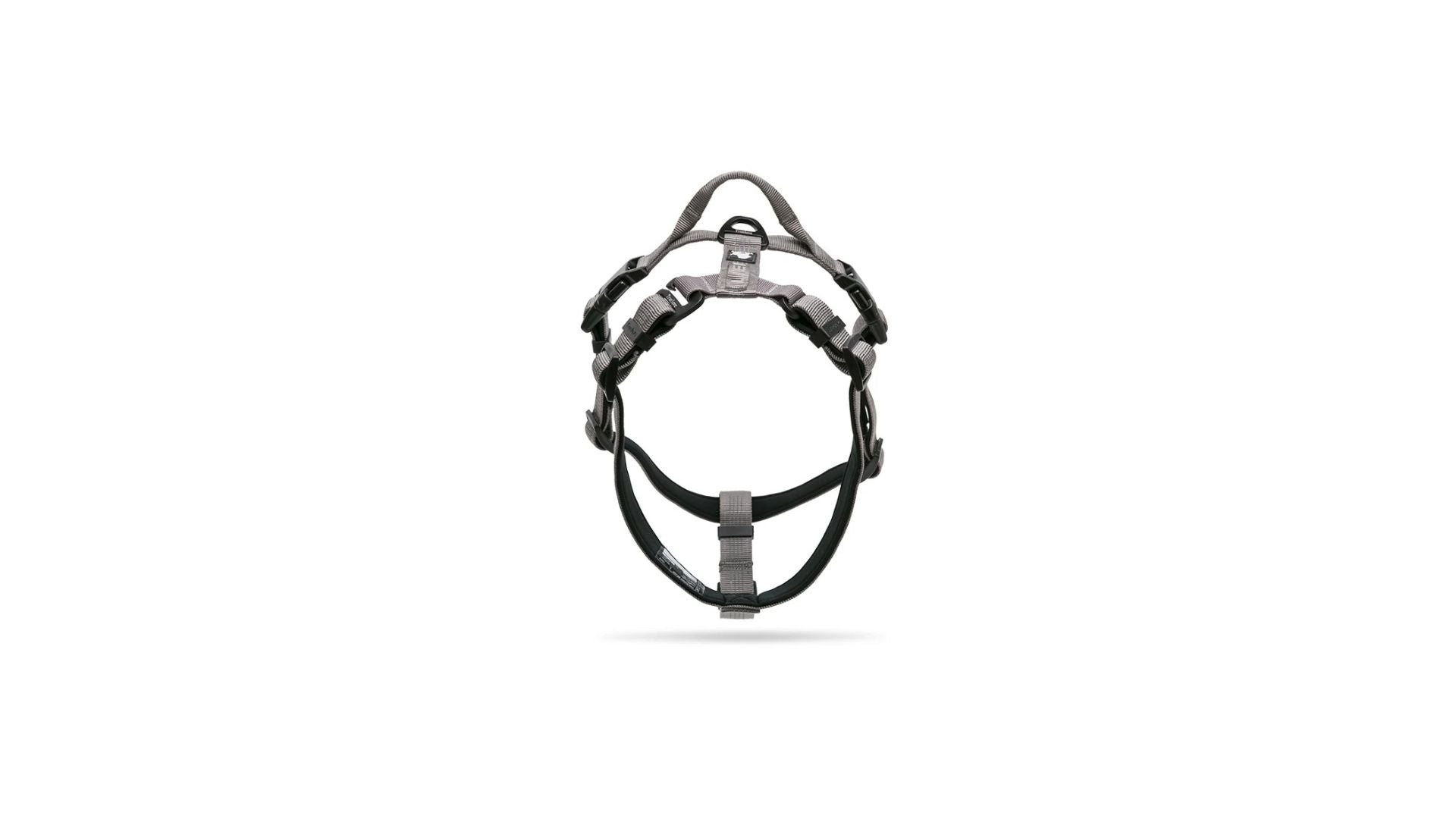 SafeWalk LED-Leine