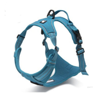 Billig-Hundegeschirr-Kaufen