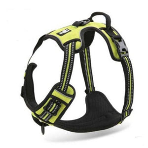 Hundegeschirr-Kaufen-Leine