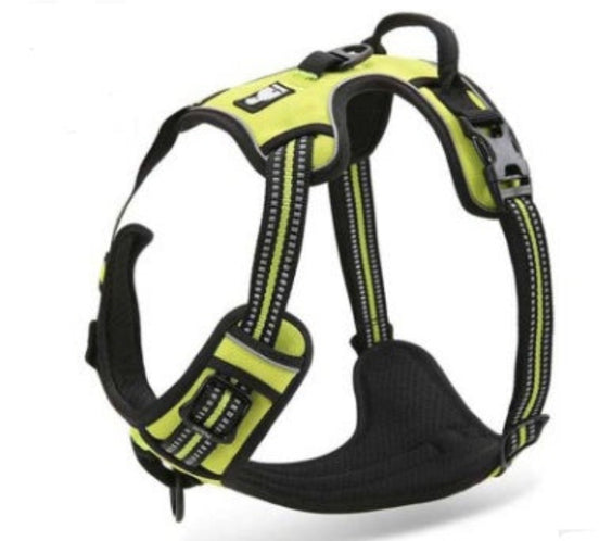 Hundegeschirr-Kaufen-Leine