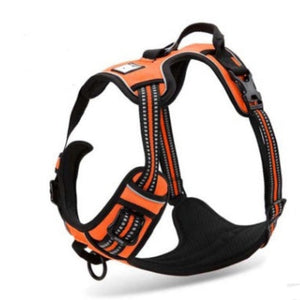 Hundegeschirr-reduziert-kaufen