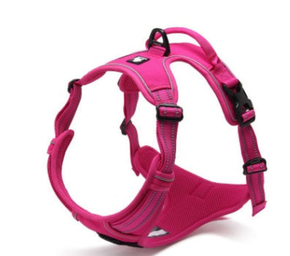 Hundegeschirr-in-pink-kaufen-mit-rabatt
