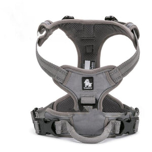 Hundeleine-Geschirr-Reflektiert 