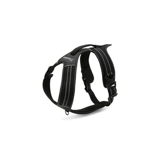 Reflektierbare Leine 