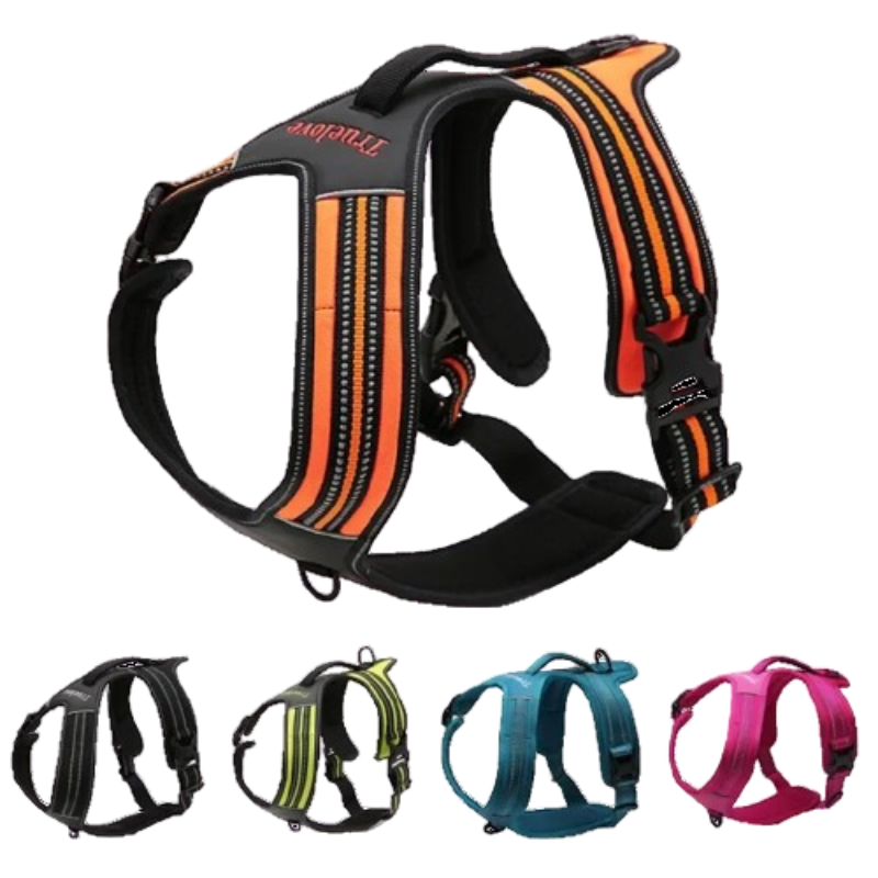 Reflektierende Hundeleine 