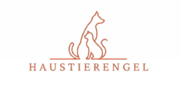 Haustier Engel