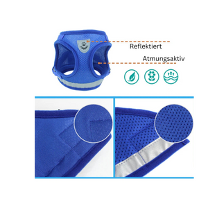 Little Walk Haustierleine