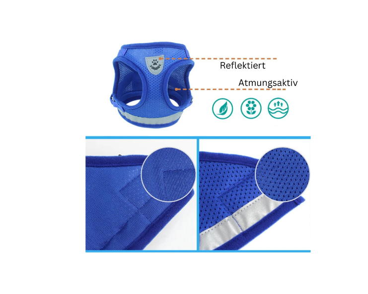 Little Walk Haustierleine