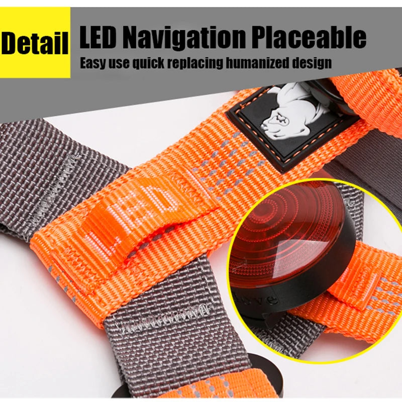 SafeWalk LED-Leine