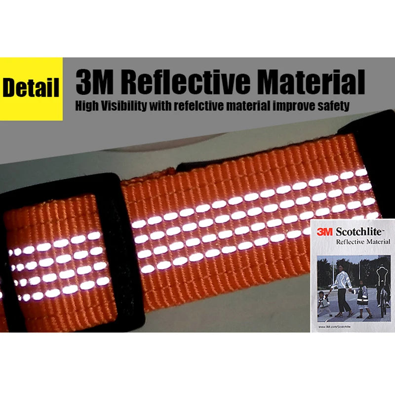 SafeWalk LED-Leine