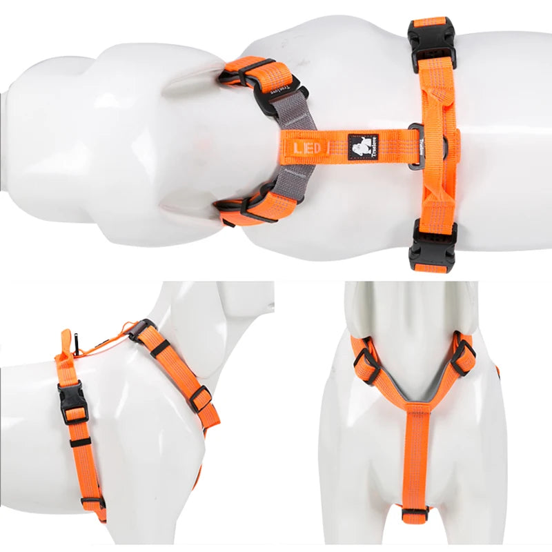 SafeWalk LED-Leine