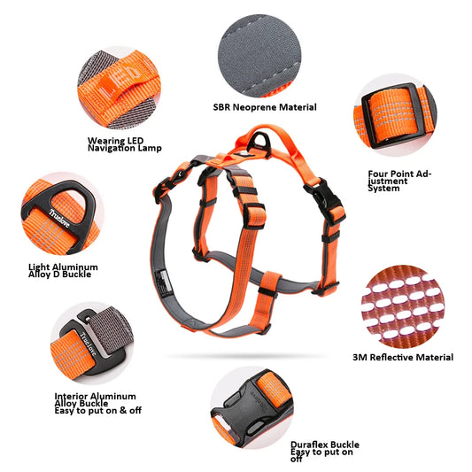 SafeWalk LED-Leine