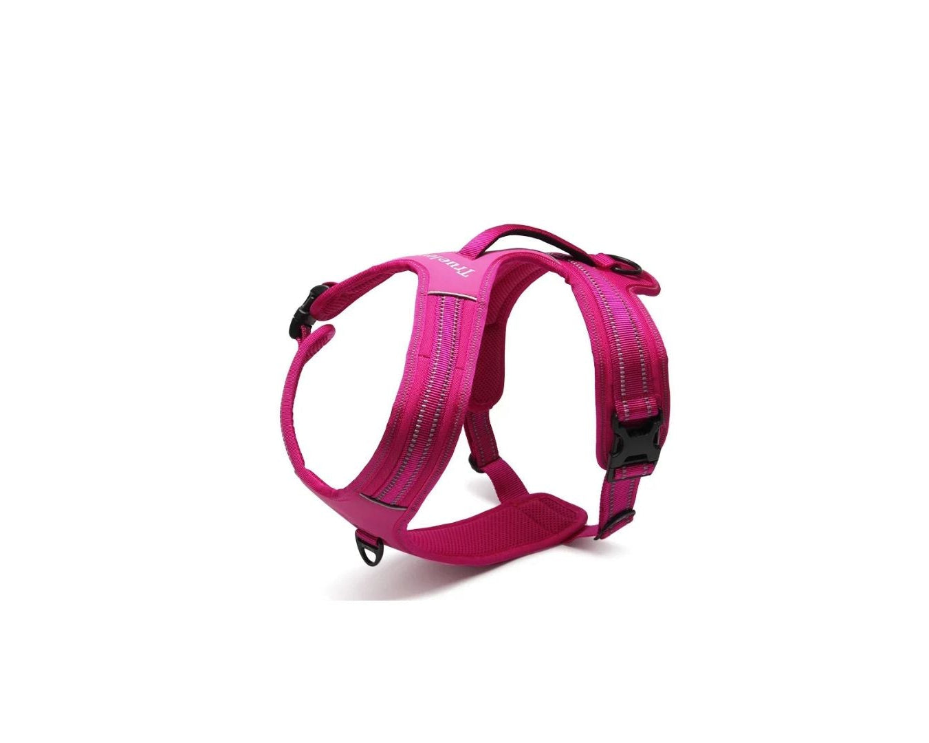 Sicherheits-Hundeleine