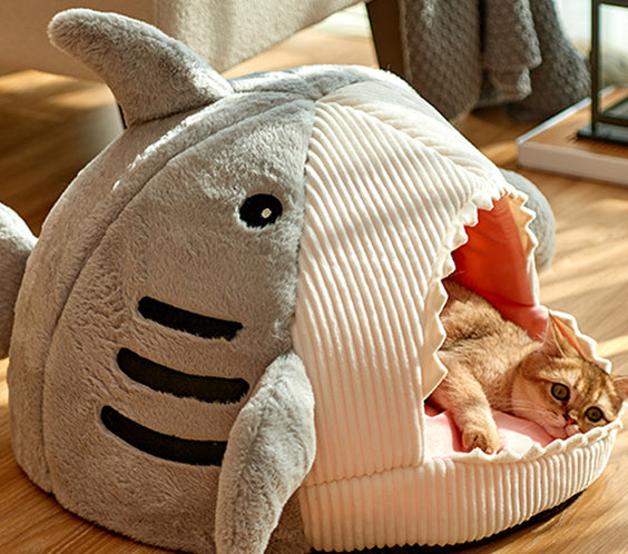 Die Haifischhöhle