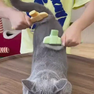 Katzenhaarpflege-einfach