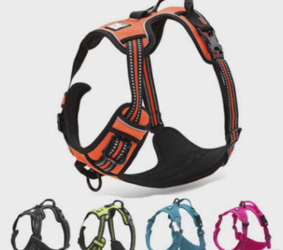 Hunde-Geschirr-Kaufen