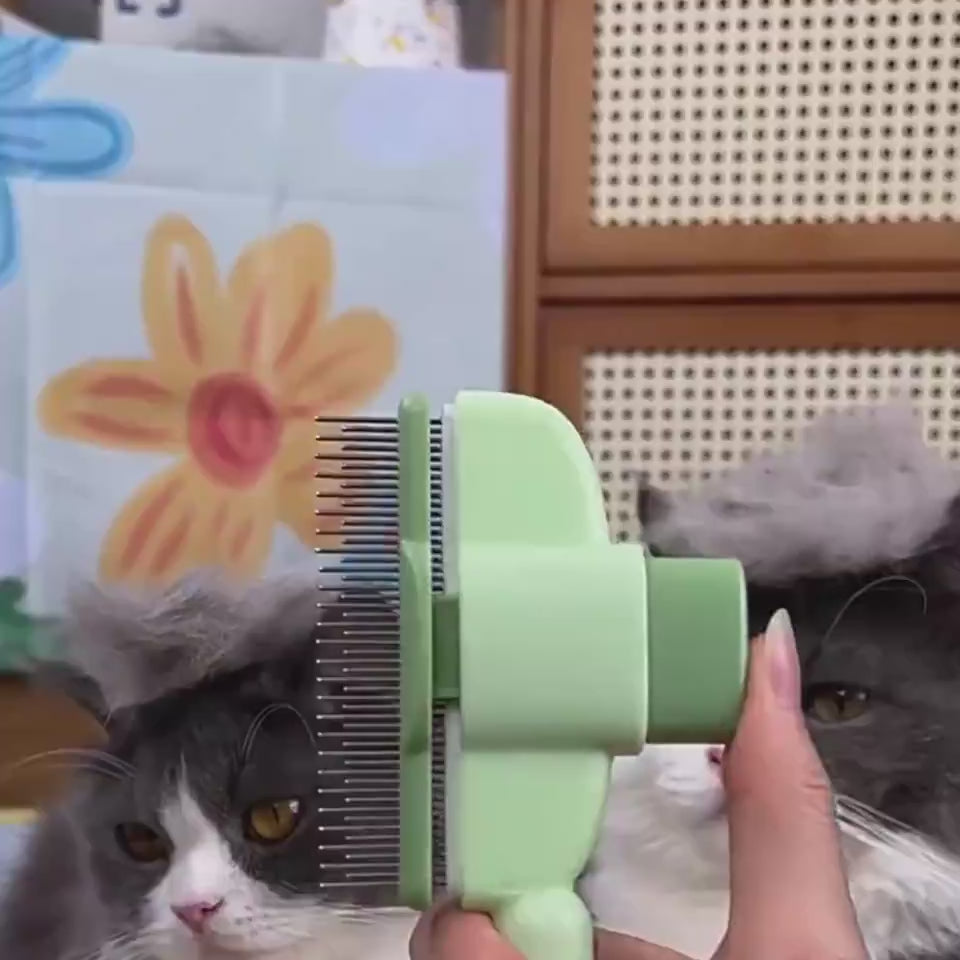 Katzen-bürste-kaufen