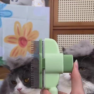 Katzen-bürste-kaufen