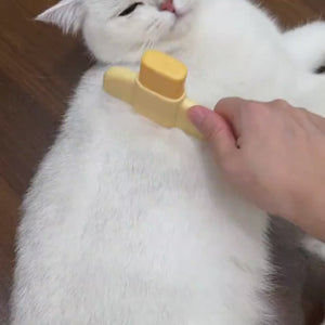 Hundehaarpflege-einfach